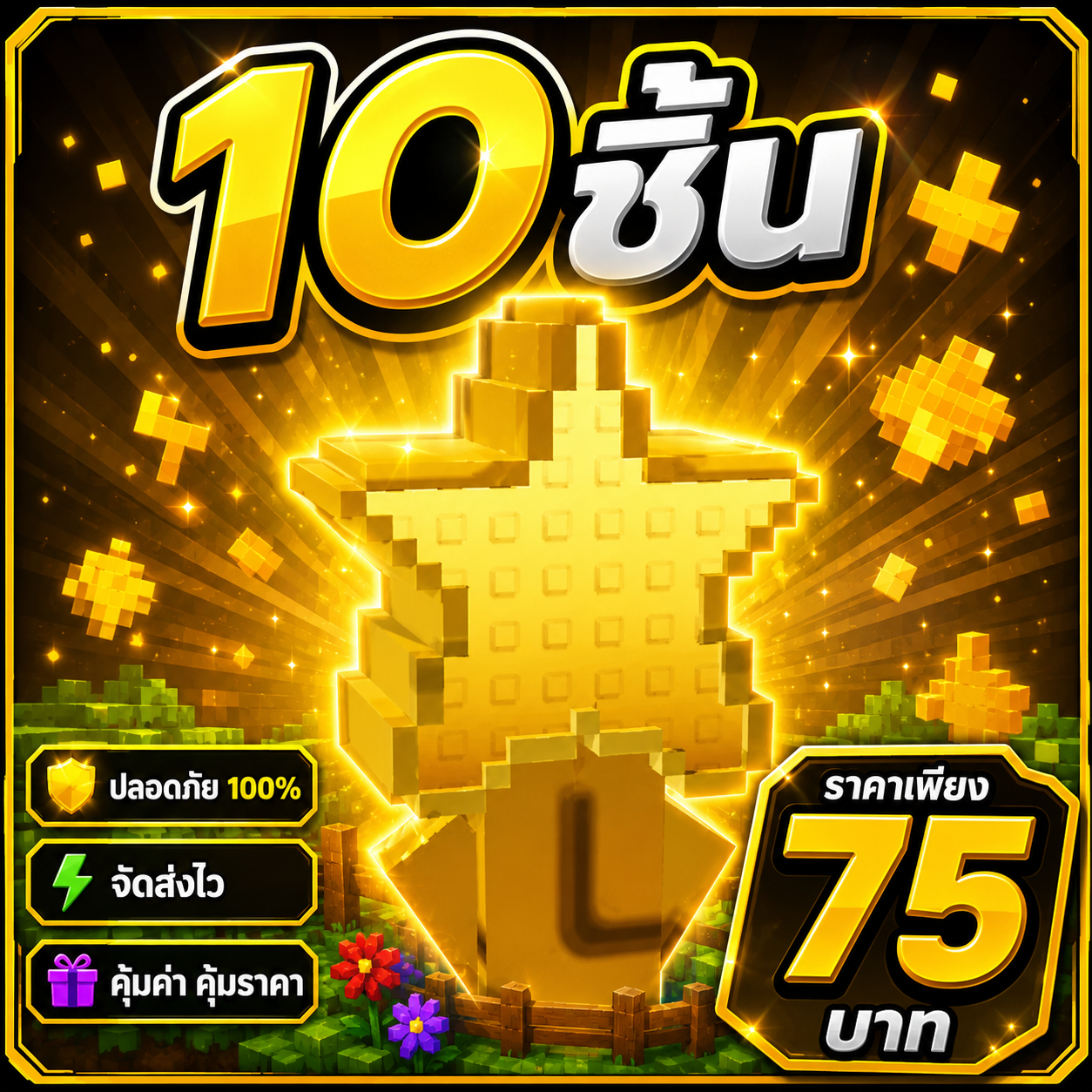 ดาว 10 ชิ้น